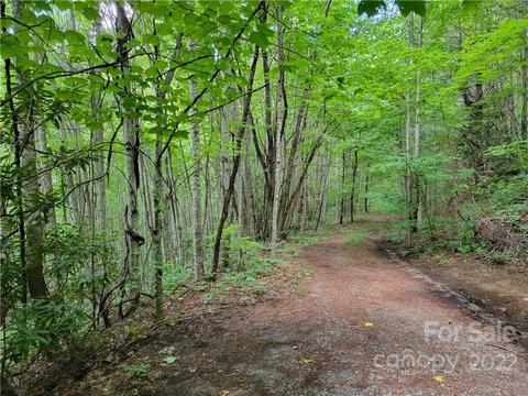 00 Poplar Cove 2 Rd #2, Clyde, NC 28721