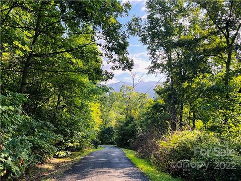 99999 Dogwood Forest Rd, Fairview, NC 28730