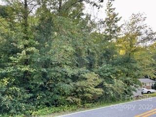 0 Pearidge Rd, Bostic, NC 28018 photo 12