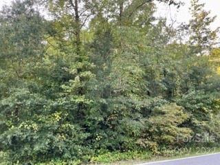 0 Pearidge Rd, Bostic, NC 28018 photo 11