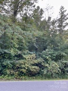 0 Pearidge Rd, Bostic, NC 28018 photo 13