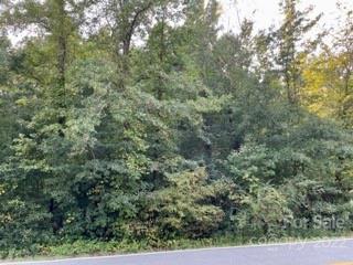 0 Pearidge Rd, Bostic, NC 28018 photo 2