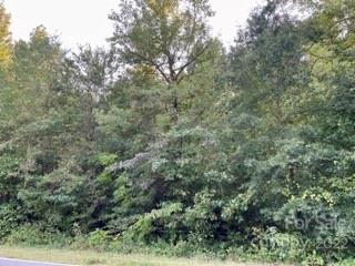0 Pearidge Rd, Bostic, NC 28018 photo 10