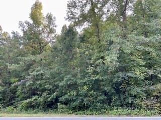 0 Pearidge Rd, Bostic, NC 28018 photo 4