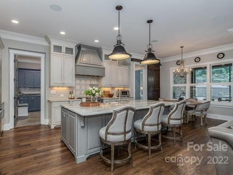 17613 Stuttgart Rd, Davidson, NC 28036 photo 22