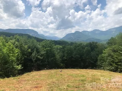 Burroughs Road, Lake Lure, NC 28746