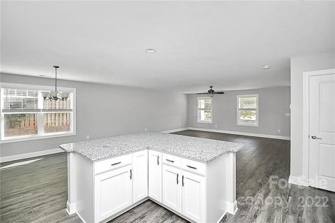 20120 N Main St, Cornelius, NC 28031 photo 11