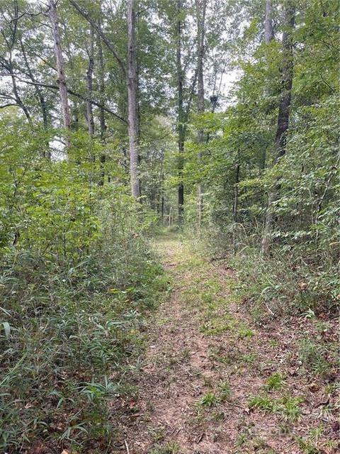 8747 Jacob Fork River Rd, Vale, NC 28168 photo 25