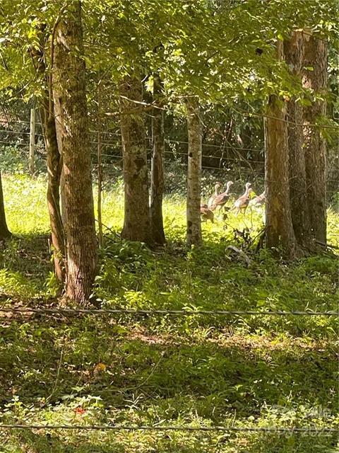 8747 Jacob Fork River Rd, Vale, NC 28168 photo 27