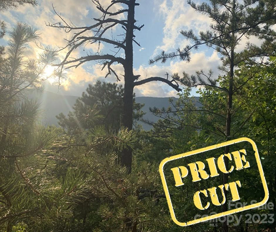 00 Linville 76 78 Dr Unit 76 78 (1/3 INTEREST)  