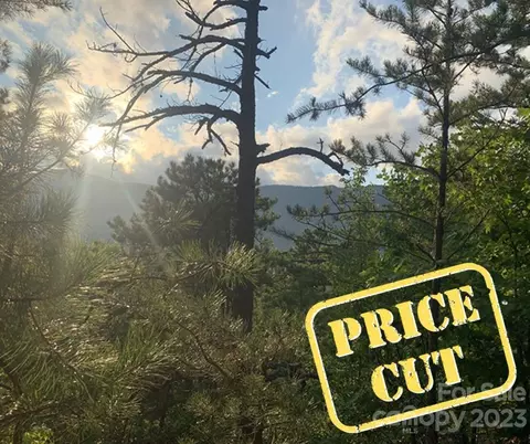 00 Linville 76 78 Dr #76 & 78 (1/3 INTEREST), Marion, NC 28752