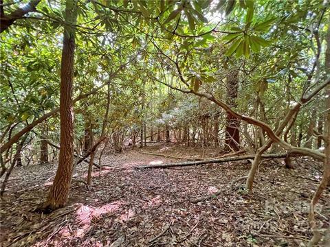 999 Big Pine Rd, Marshall, NC 28753 photo 19