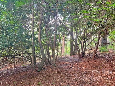 999 Big Pine Rd, Marshall, NC 28753 photo 16