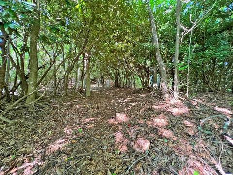 999 Big Pine Rd, Marshall, NC 28753 photo 11