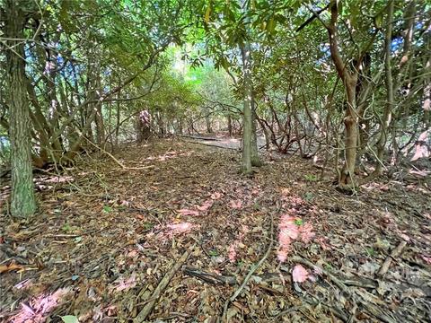999 Big Pine Rd, Marshall, NC 28753 photo 14