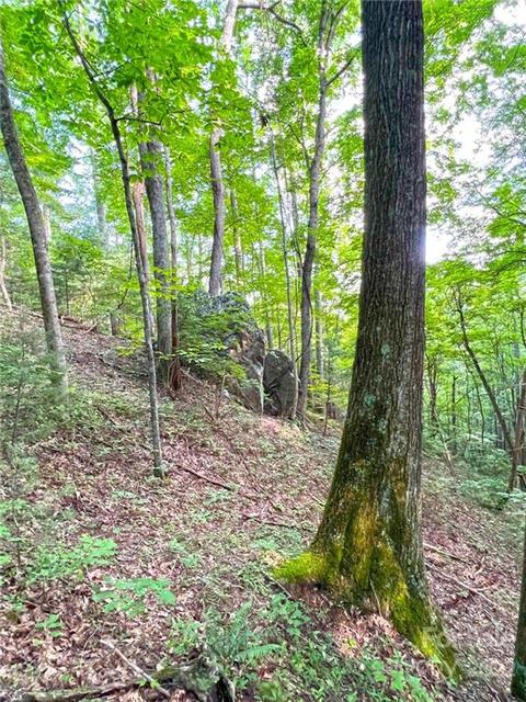 999 Big Pine Rd, Marshall, NC 28753 photo 25