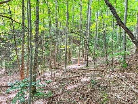 999 Big Pine Rd, Marshall, NC 28753 photo 10