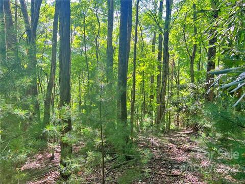 999 Big Pine Rd, Marshall, NC 28753 photo 8