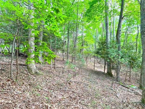 999 Big Pine Rd, Marshall, NC 28753 photo 17