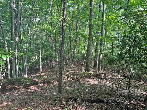999 Big Pine Rd, Marshall, NC 28753 photo 21