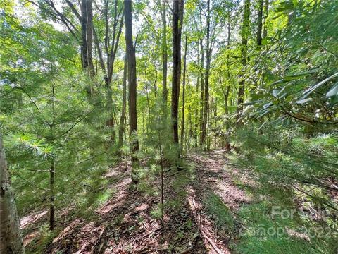 999 Big Pine Rd, Marshall, NC 28753 photo 5