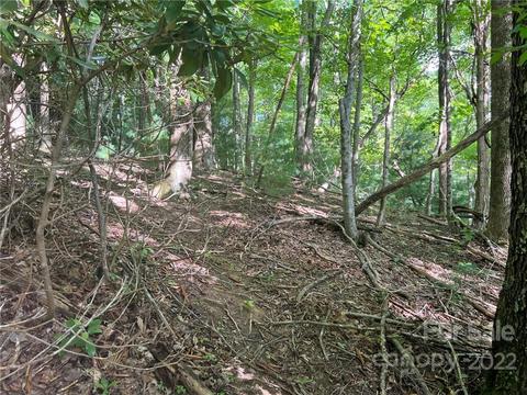 999 Big Pine Rd, Marshall, NC 28753 photo 23