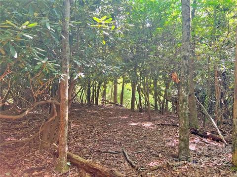 999 Big Pine Rd, Marshall, NC 28753 photo 13