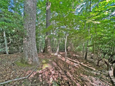 999 Big Pine Rd, Marshall, NC 28753 photo 7