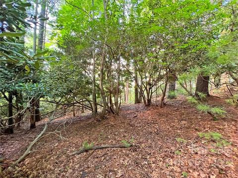 999 Big Pine Rd, Marshall, NC 28753 photo 18