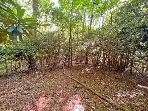 999 Big Pine Rd, Marshall, NC 28753 photo 15
