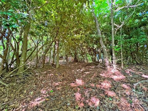 999 Big Pine Rd, Marshall, NC 28753 photo 12