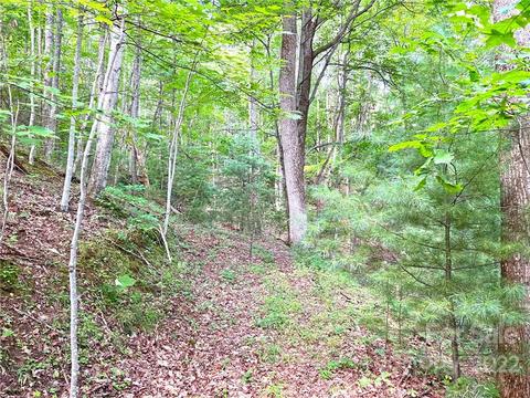 999 Big Pine Rd, Marshall, NC 28753 photo 24