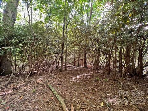 999 Big Pine Rd, Marshall, NC 28753 photo 20