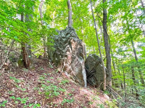999 Big Pine Rd, Marshall, NC 28753 photo 3
