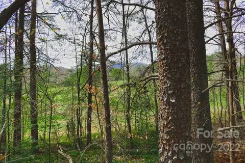 0 Westridge 87 Dr #87, Lake Lure, NC 28746