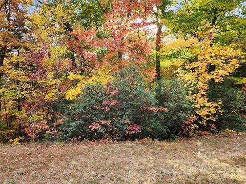 841 Fire Tower Rd, Bostic, NC 28018 photo 10