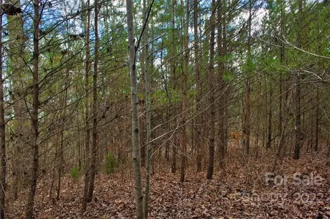 0 N Dakota 343 Dr #343, Rutherfordton, NC 28139