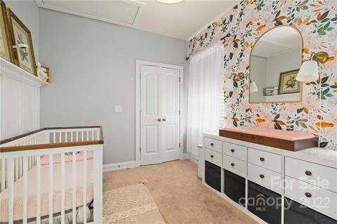 489 Jetton St, Davidson, NC 28036 photo 21