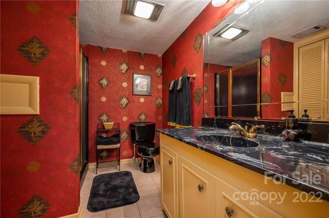 431 Red Fox Cir, Tryon, NC 28782 photo 39