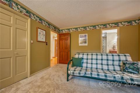 431 Red Fox Cir, Tryon, NC 28782 photo 29