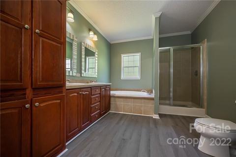 6410 Big Level Rd, Mill Spring, NC 28756 photo 23