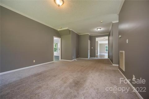 6410 Big Level Rd, Mill Spring, NC 28756 photo 19
