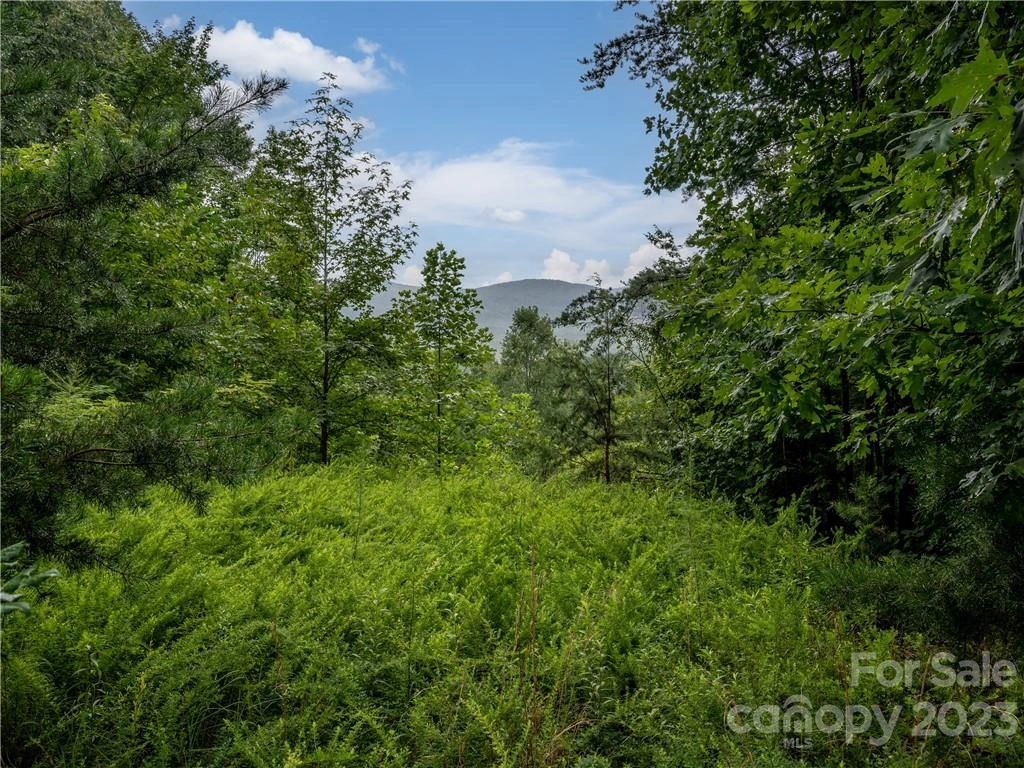 4 Acre Lot 116 Owls Ridge 116 Rd Unit 116  