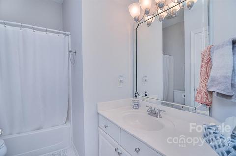 18677 Vineyard Point Ln, Cornelius, NC 28031 photo 13