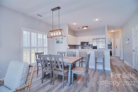 18677 Vineyard Point Ln, Cornelius, NC 28031 photo 15