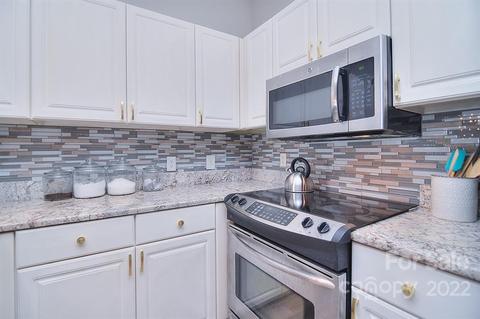 18677 Vineyard Point Ln, Cornelius, NC 28031 photo 20