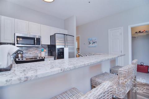 18677 Vineyard Point Ln, Cornelius, NC 28031 photo 17