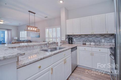 18677 Vineyard Point Ln, Cornelius, NC 28031 photo 18
