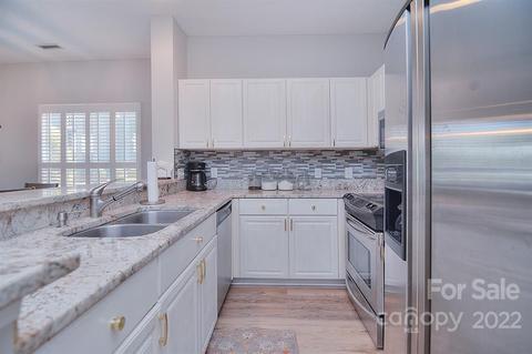 18677 Vineyard Point Ln, Cornelius, NC 28031 photo 19