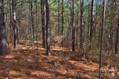 0 Bitterroot 224 Cir #224, Rutherfordton, NC 28139